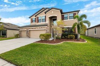 8048 Roma Dune Dr in Wesley Chapel, FL - Foto de edificio - Building Photo