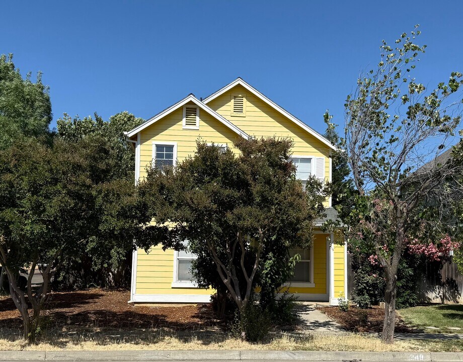 249 Red Bud in Winters, CA - Building Photo