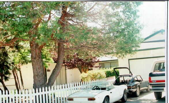 4 Kathy Ct in Novato, CA - Foto de edificio