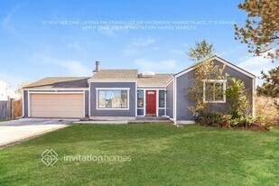 11091 Albion Dr in Thornton, CO - Building Photo