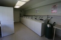 Interior Photo - Springtree Apartments in Chino, California