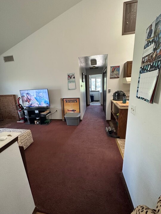 93 Meadowood Dr in Carbondale, CO - Building Photo