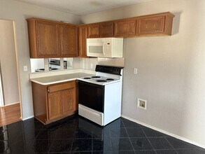1213 Gray Dawn Dr in Midlothian, TX - Building Photo - Building Photo
