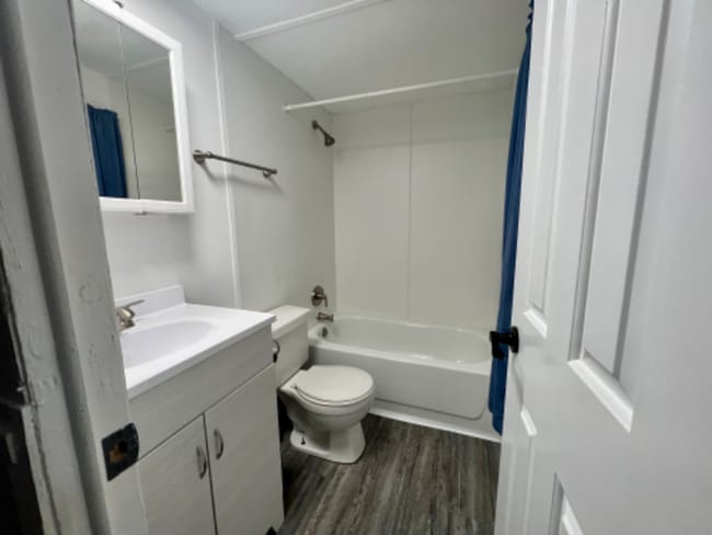 308 Locust St in Fredericktown, MO - Building Photo - Building Photo