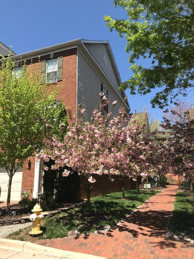 5001 Waple Ln in Alexandria, VA - Building Photo - Building Photo