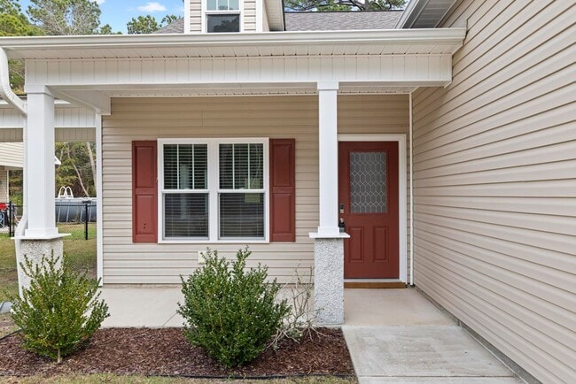 1259 Dan Owen Dr in Hampstead, NC - Building Photo - Building Photo