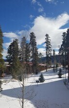 749 Lagoon Dr in Frisco, CO - Building Photo - Building Photo