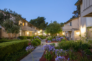 Campbell West Apartments in Campbell, CA - Foto de edificio - Building Photo