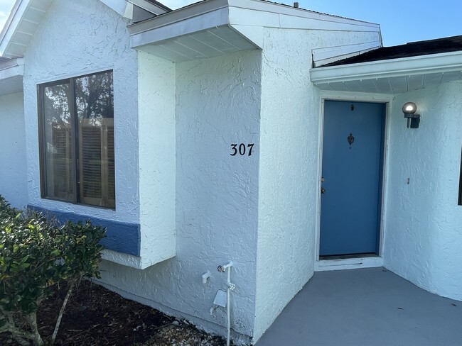 307 Lake Placid Ct in Oldsmar, FL - Building Photo - Building Photo