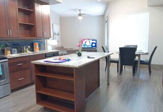 11228 Domain Dr in Austin, TX - Building Photo - Building Photo