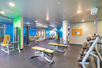 Lark on 42nd in Tampa, FL - Foto de edificio - Interior Photo