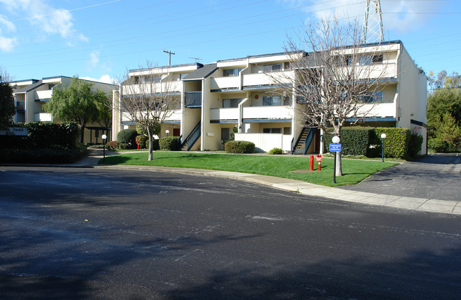 Alamo Park in Mountain View, CA - Foto de edificio - Building Photo