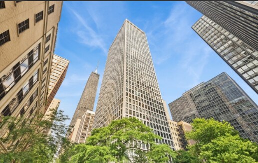 260 E Chestnut St in Chicago, IL - Building Photo