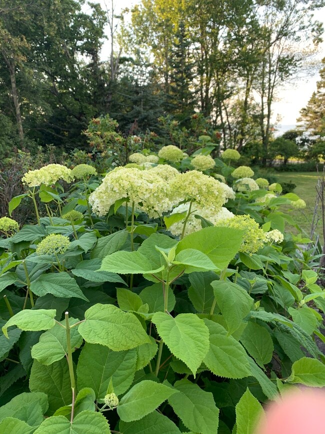 1714 N Dorgenois St in New Orleans, LA - Building Photo - Building Photo
