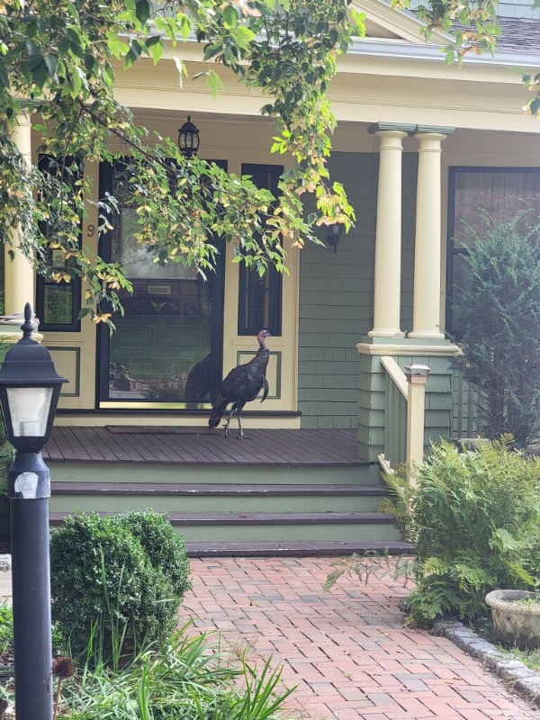 property at 9 Woodland Ave