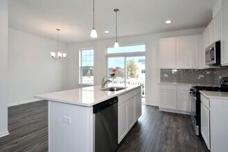 202 Timberleaf Cir in Roselle, IL - Foto de edificio - Building Photo