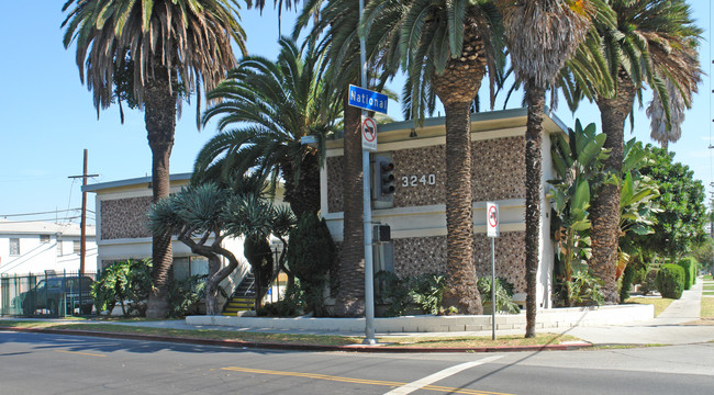 3240 Bagley Ave in Los Angeles, CA - Building Photo - Building Photo