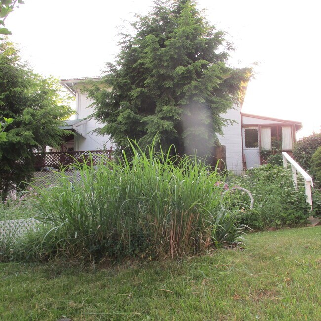 15 Fisher St Rentals in Commodore, PA