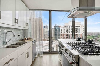 901 S Holden Ct in Chicago, IL - Building Photo - Building Photo