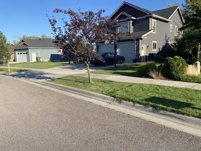 323 Maroon Ct, Unit Lower unit
