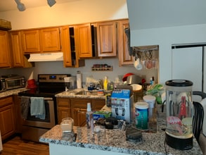 145 Coming St in Charleston, SC - Building Photo - Building Photo