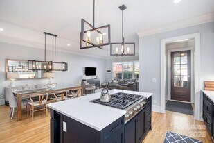 407 Louise Ave in Charlotte, NC - Building Photo