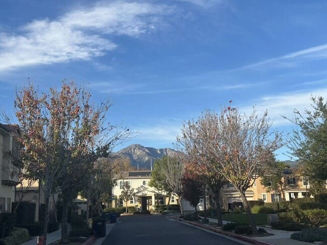 property at 2830 E Via Fiano