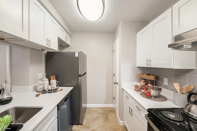 The Park at Orvieto in Tampa, FL - Foto de edificio - Building Photo