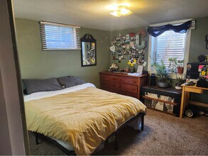 317 S Shields St in Fort Collins, CO - Building Photo - Building Photo
