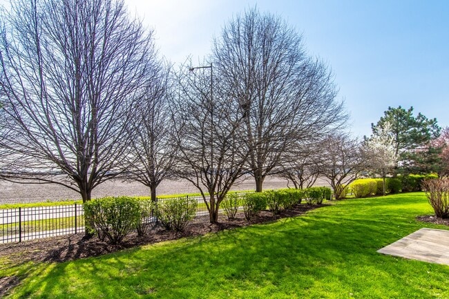 4133 Blackstone Dr in Aurora, IL - Building Photo - Building Photo