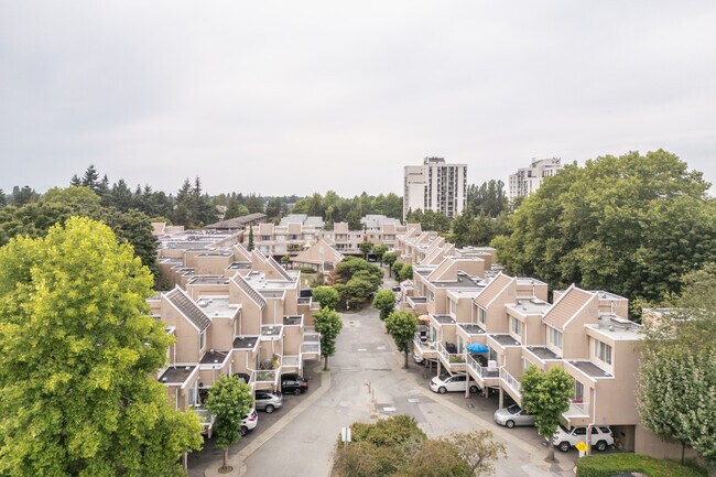7151 Moffatt Rd in Richmond, BC - Building Photo - Building Photo