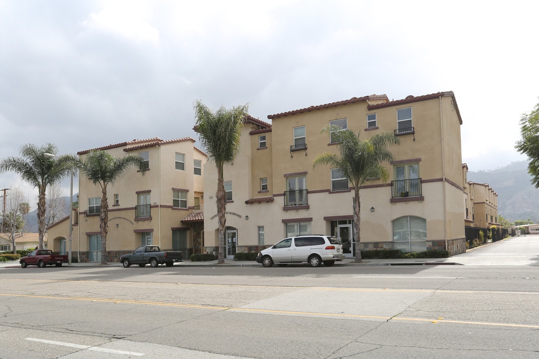 Courtyard at Harvard Family Apartments in Santa Paula, CA - Foto de edificio