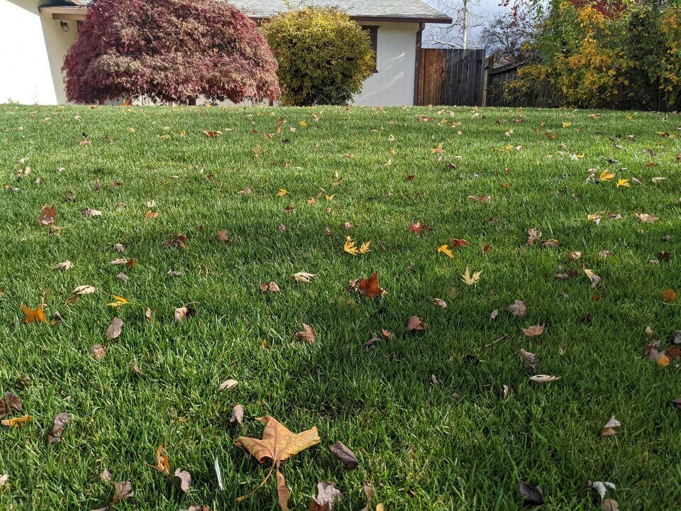 3096 Circle Wood Dr in Medford, OR - Building Photo