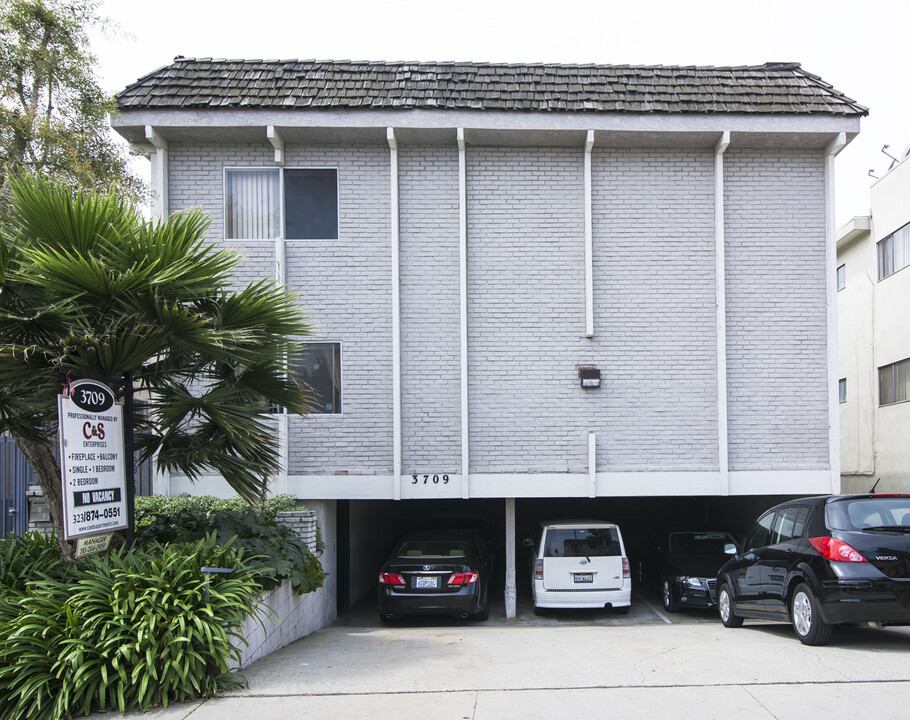 3709 Jasmine Ave in Los Angeles, CA - Foto de edificio