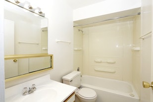 Carriage Creek Apartments in Richton Park, IL - Building Photo