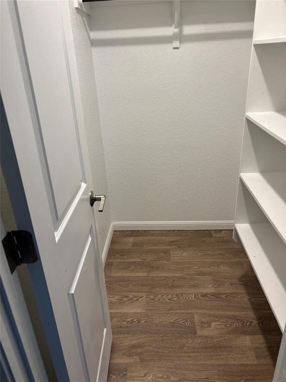 1611 Iberville Dr in Pflugerville, TX - Building Photo - Building Photo