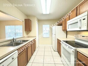 37555 Daliha Terrace in Zephyrhills, FL - Building Photo - Building Photo
