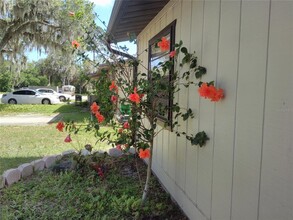 2422 India Palm Dr in Edgewater, FL - Building Photo - Building Photo