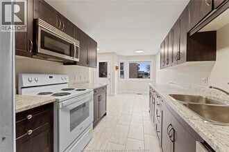 36 Remark Dr in Kingsville, ON - Building Photo - Building Photo