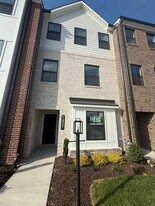 15918 Misty Blue Aly in Midlothian, VA - Building Photo