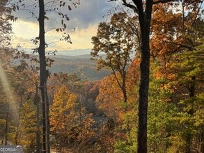 664 Fox Run Dr in Blue Ridge, GA - Building Photo - Building Photo