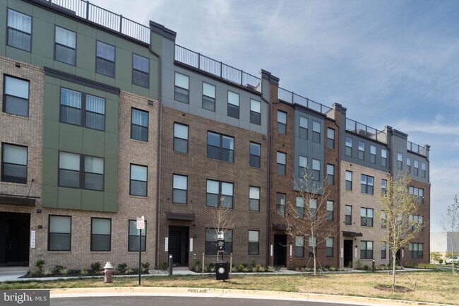 20274 Newfoundland Sq in Ashburn, VA - Foto de edificio - Building Photo