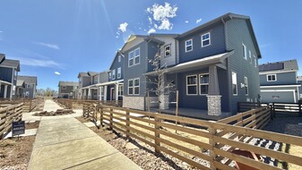 764 Wood Sorrel Ln in Fort Collins, CO - Building Photo