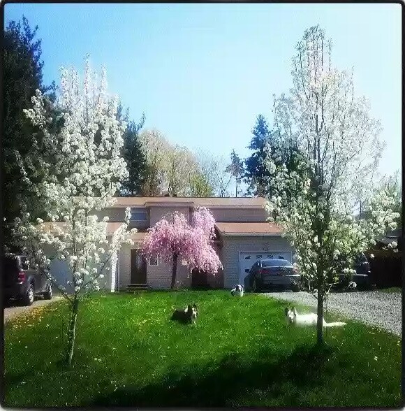 1994 Kimball St Rentals in Binghamton, NY