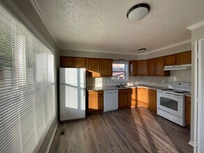 1104 Mazatlan Cir in Colorado Springs, CO - Building Photo - Building Photo