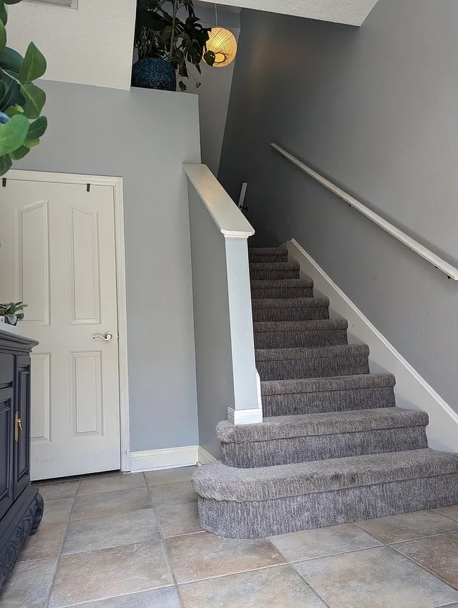 3046 Pointeview Dr in Tampa, FL - Building Photo - Building Photo