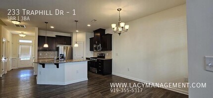 233 Traphill Dr in Morrisville, NC - Building Photo - Building Photo