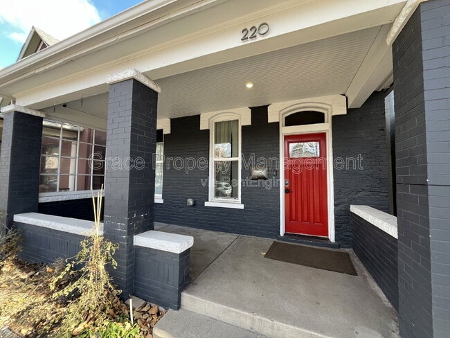 220 Sherman St in Denver, CO - Building Photo - Building Photo