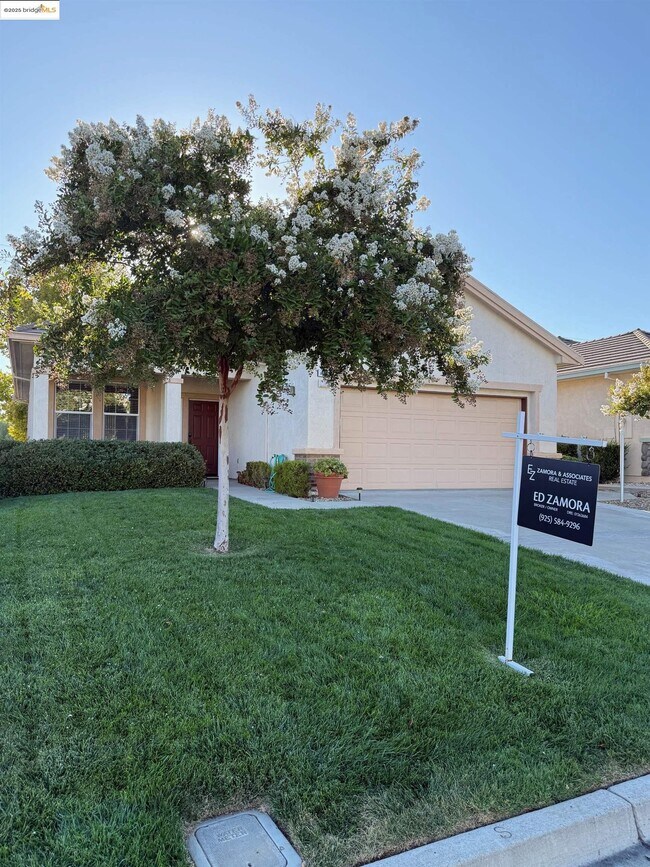 491 Central Park Pl in Brentwood, CA - Building Photo - Building Photo