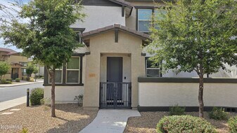 14870 W Encanto Blvd in Goodyear, AZ - Building Photo